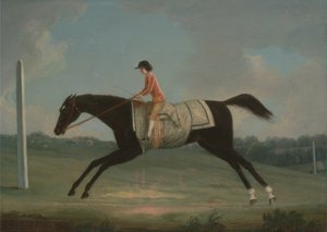 Borlase Cokayne Sultana lovagló fiúként